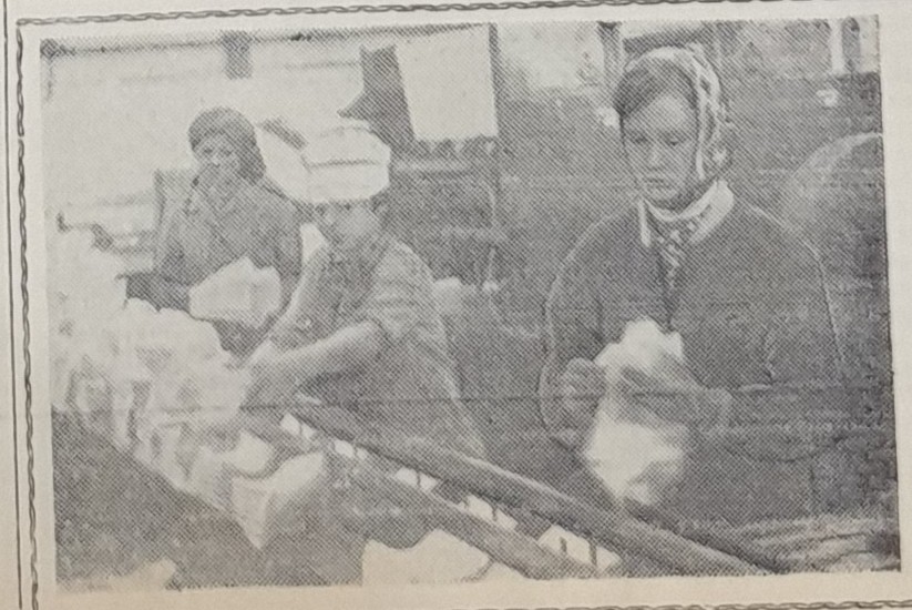 На линии по производству листовых полотенец. Слева направо: Мария Бойко, Галина Пашкова, Любовь Егорова